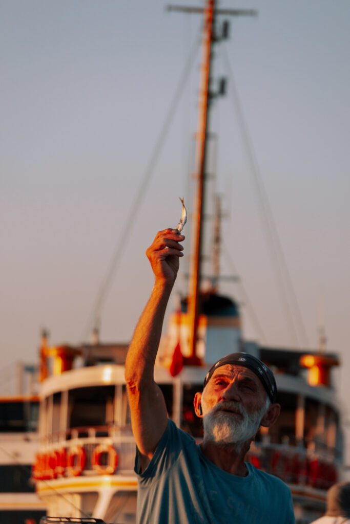 How Can Seniors Ensure Proper Dosages And Timing Of Medications?