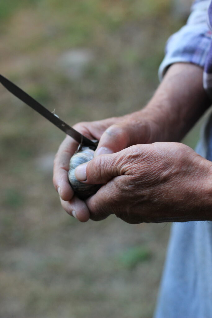 What Are The Advantages Of Tai Chi And Qigong For Seniors?