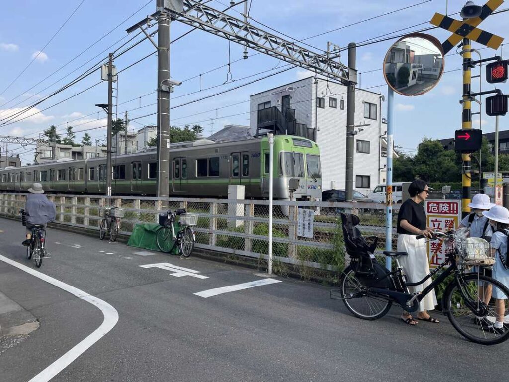 The Cultural Emphasis on Health and Longevity in Japan