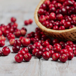 Vegetarian-Friendly Capsules in VitaPost Urinary Tract Support