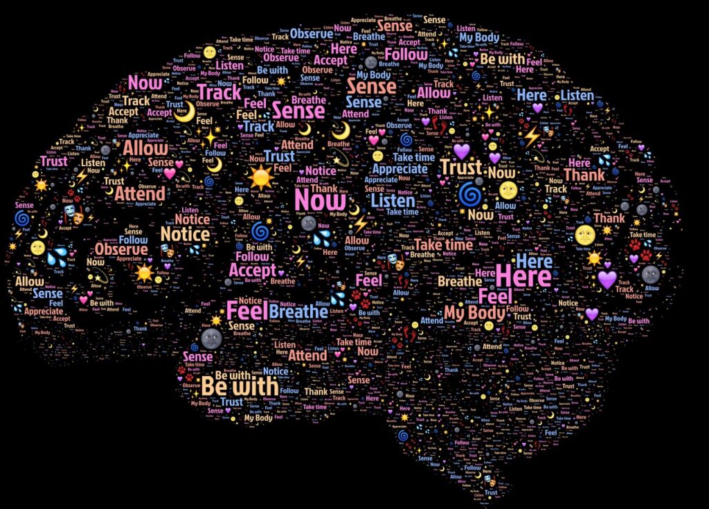What Role Does A Mentally Stimulating Environment Play In Memory?