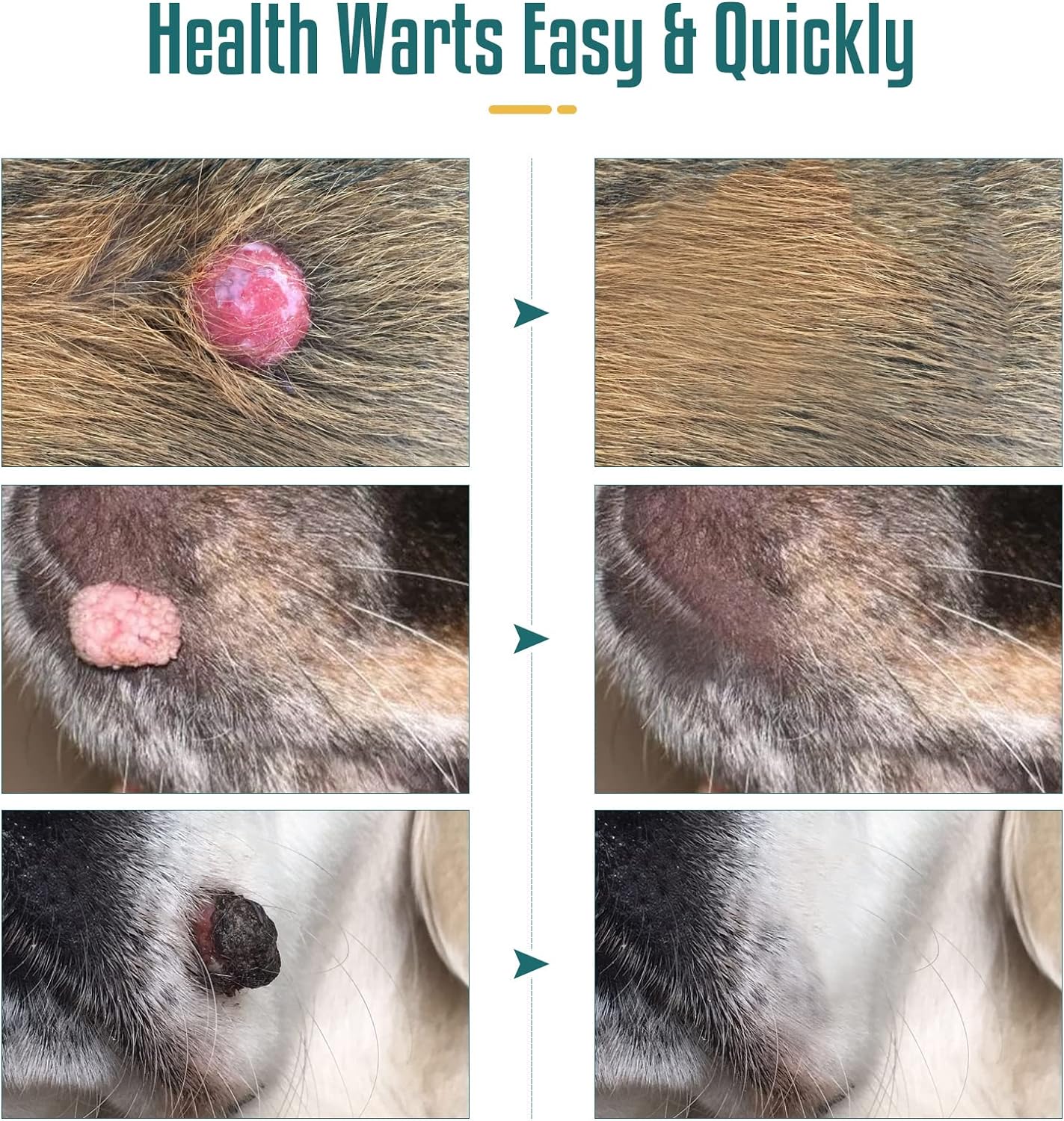 NHZ Dog Skin Tag Remover Review